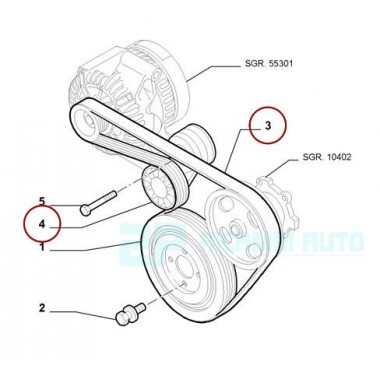 6PK1705 Kit Cinghia Alternatore Servizi Tenditore 6PK1705 Kit Cinghia Alternatore Servizi Tenditore