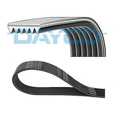 Cinghia trasmissione, Cinghia Poly-V Dayco Cinghia trasmissione, Cinghia Poly-V Dayco