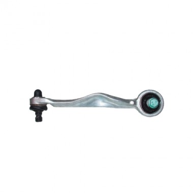Braccio oscillante Sospensione ruota posteriore Sx BIRTH (BR1395)
