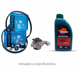 Kit distribuzione Dayco, pompa acqua, cinghia servizi e antigelo (KTB251)