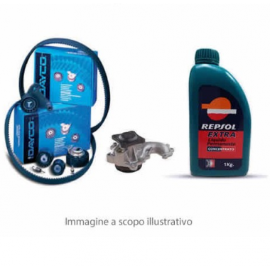 Kit distribuzione Dayco, pompa acqua, cinghia servizi e antigelo (KTB251) Kit distribuzione Dayco, pompa acqua, cinghia servizi e antigelo (KTB251)