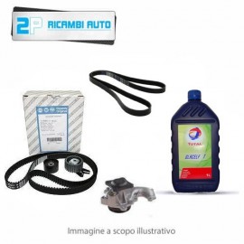 KIT DISTRIBUZIONE + POMPA ACQUA + CINGHIA ESTERNA + 2lt ANTIGELO blu FORD KA 1.2 69 CV