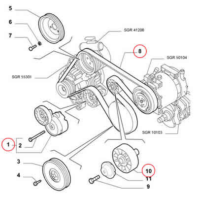 Cinghia Alternatore Servizi